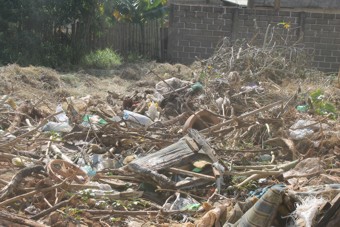 Primeiro_Mutirão_Limpeza (13)