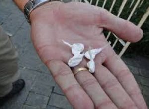 01 papelotes de cocaina