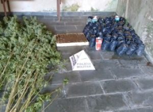 12 4 16 mamb extrema (2)