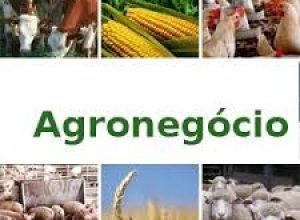 Agronegocio