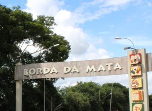 Borda da Mata