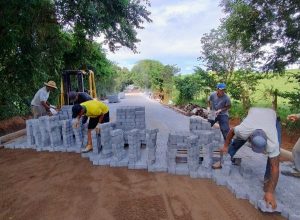Calçamento sertãozinho 1