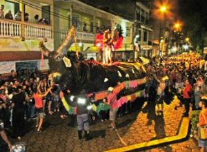 Carnaval de Tocos (1)