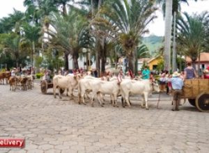 Cavaleiros Tocos (1)