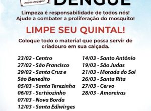 DMutirão Dengue
