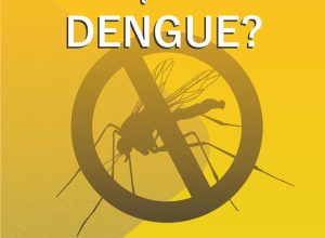 Dengue