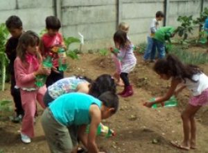 Educacao Ambiental Cras