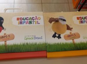 Educação Infantil