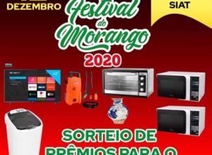 Festival Morango