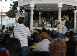 Festival Sertanejo (1)