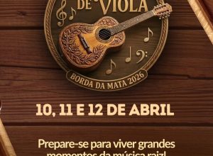 Festival de Viola