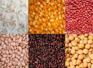 Minas gerais agricula