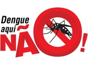 Mosquito da dengue 1