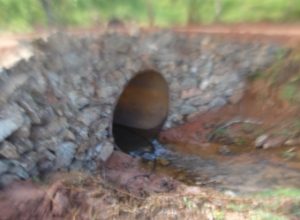 Ponte Afredo Pereira