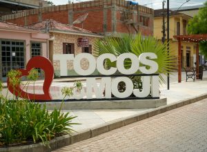 Tocos