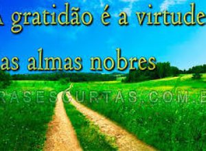 agradecimento
