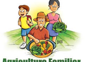 agricultura