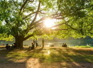 brasil-parque-ibirapuera-