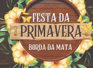 cartaz festa primavera