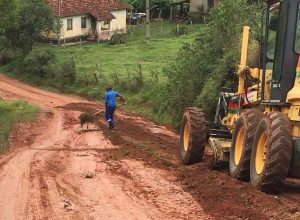 estrada borda da mata