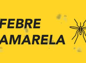 febre amarela