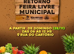 feira11