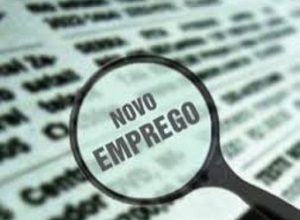 novo emprego