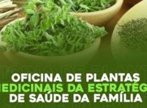 plantas-br