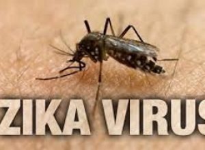 zika
